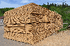 Fir/Spruce