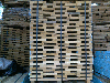 oak fresh elements
