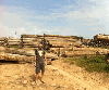 Teak Logs, Planks