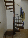 Escaliers, Hêtre (Europe)