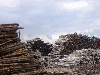 Pulp logs (Pine, Spruce)