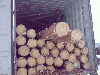 grumes de sciage, Pin (Pinus sylvestris) - Bois rouge