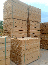 Squares, Beech (Europe), PEFC
