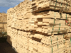 Fir/Spruce