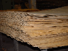 Birch (Europe), Rotary cut