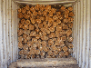 Teak logs