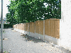 Spruce (Picea abies) - Whitewood, Fences - Screens