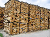 Loseware (unedged boards, sorted and bundled), Oak (European)