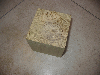 Acacia, PAVE CARRE