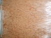 Bintangor (Calophyllum), Rotary cut