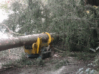Skidding - Forwarding, Processor, SILVATRADE