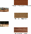 Teak, Nigeria