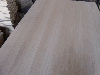 Solid wood panel, Paulownia (Princess Tree)