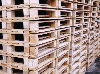 Pallet, New
