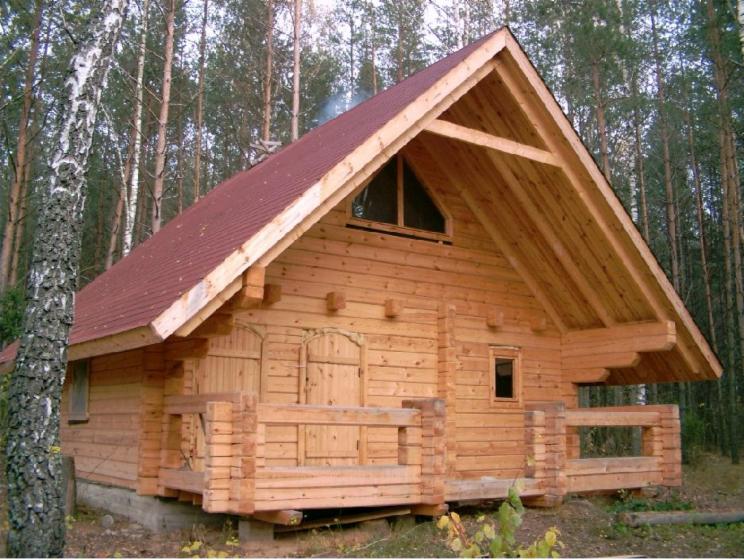 Canadian log house