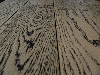 Oak (European), stained and varnished