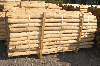 poles, Acacia
