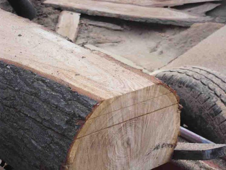 Sawing services
