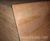 Special Plywood for sale - Plywood for Construction/ Concrete Formwork, 7-24 mm