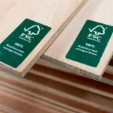 Find best timber supplies on Fordaq - BAGUS TIMBER SDN BHD - FSC 100% Eucalyptus Plywood, 3.6-25 mm