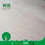 Find best timber supplies on Fordaq - BAGUS TIMBER SDN BHD - Best Quality Eucalyptus Plywood