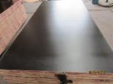 Find best timber supplies on Fordaq - LINYI GAOTONG IMPORT & EXPORT CO., LTD - Construction Marine Plywood 