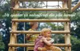 Timber Services - Impregnated Timber, Romania