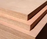 Special Plywood for sale - Okoumè Special Plywood B/B