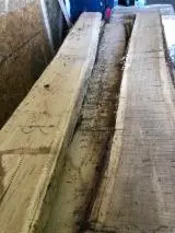 Trova le migliori forniture di legname su Fordaq - Euroforest d.o.o - Rovere tavolame 22-32 mm * 2000+ mm essicato a forno 30-90 m3 / anno