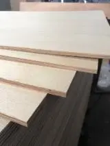 Find best timber supplies on Fordaq - BAGUS TIMBER SDN BHD - EPA/CARB P2 Plywood