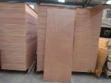 Trouvez tous les produits bois sur Fordaq - LINYI GAOTONG IMPORT & EXPORT CO., LTD - Contreplaqué Panneaux Revêtement De Porte