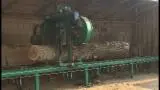 Timber Services - Sawing Services, Poland