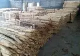 Купить Или Продать  Колья Пиловочник Твердых Пород  - Колья Акация FSC
