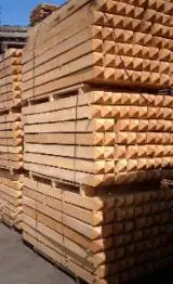 Купить Или Продать  Колья Пиловочник Твердых Пород  - Акация колья 80-150 mm 24-50 m3 / месяц из Сербия