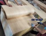 Find best timber supplies on Fordaq - LINYI GAOTONG IMPORT & EXPORT CO., LTD - GTCO Sliced Poplar Veneer, 0.5-1.2 mm Thick