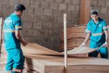 Fordaq лісовий ринок - Heyi Wood Industry Co., Ltd. - Евкаліпт Лущений