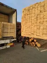 Pine - Scots Pine 1 22 mm * 88-145 mm * 800-1200 mm shipping dry 1-10 40'container / month