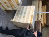 Pine - Scots Pine 1 22 mm * 88-145 mm * 800-1200 mm shipping dry 1-10 40'container / month