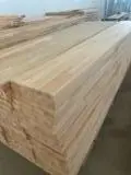 Find best timber supplies on Fordaq - HATY SRL - 1 Ply Solid Wood Panel, Beech