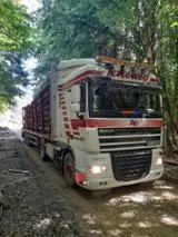 Wood Transport Services - Road Freight