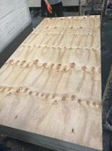 Vind de beste Houtbenodigheden op Fordaq - Xuzhou Haohong Wood Products Co., Ltd - Natuurlijk Multiplex, Radiata Den