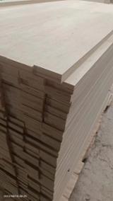 Compra Y Venta B2B De Vigas LVL - Chapa De Madera Laminada - ANDYGREEN Álamo