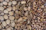 Pellet & Legna - Biomasse - Pellet & Legna - Biomasse