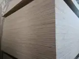 Special Plywood for sale - Paulownia/Okoume Plywood, 18 mm Thick