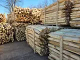 Bagrem-stabla-80-180-cm--25-1000-m3--