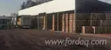 Pellet & Legna - Biomasse - Spezzato Carpino legna da ardere 48-500 m3 / mese da Polonia
