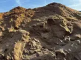 Дрова - Лісові Відходи - Дрова - Лісові Відходи