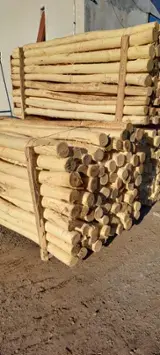 Купить Или Продать  Колья Пиловочник Твердых Пород  - Акация колья 6-16 cm 150-200 m3 / месяц из Болгария