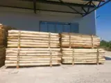 Купить Или Продать  Колья Пиловочник Твердых Пород  - Акация колья 60-220 mm 30-250 m3 / месяц