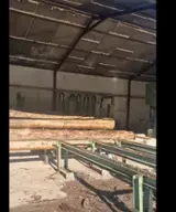 Primultini Woodworking Machinery - Vertical Frame Saw Primultini Used